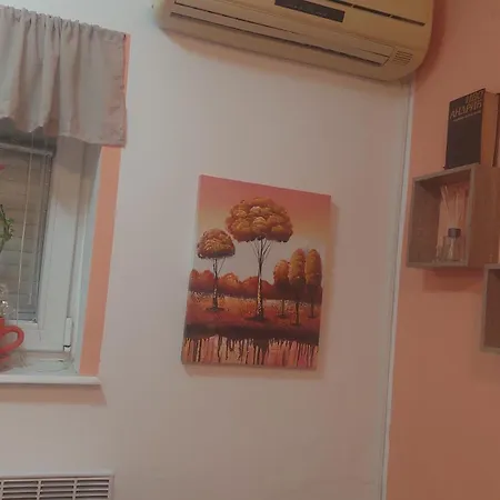 Mrvica Apartment *