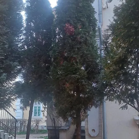 Apartment Mrvica *